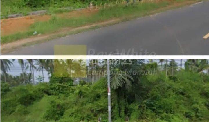 dijual tanah murah pinggir jalan 2