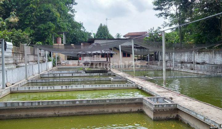 Tanah Kolam ikan siap pakai 1