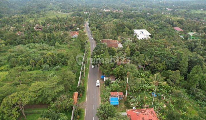 Tanah Lokasi Kawasan Wisata Harga di Bawah Pasar  2