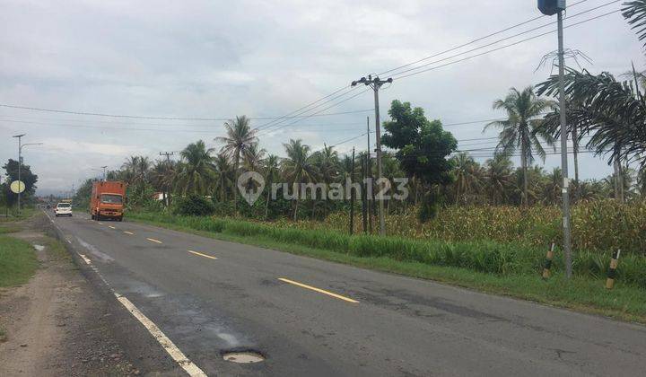 Dijual Cepat Tanah Pinggir Jalan Lintas Sumatera Lampung Selatan 1