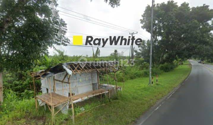 Tanah Murah di Jalan Lintas Sumatera Kalianda Lampung Selatan  2