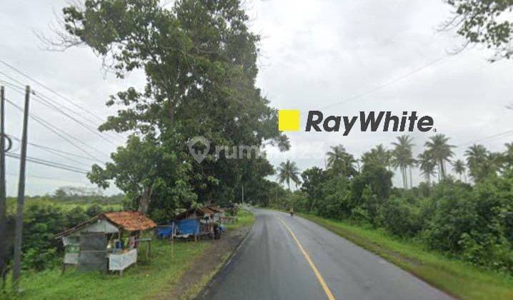 Tanah Murah di Jalan Lintas Sumatera Kalianda Lampung Selatan  1