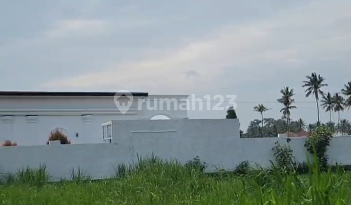 House in Karang Anyar, Jati Agung District, South Lampung 2