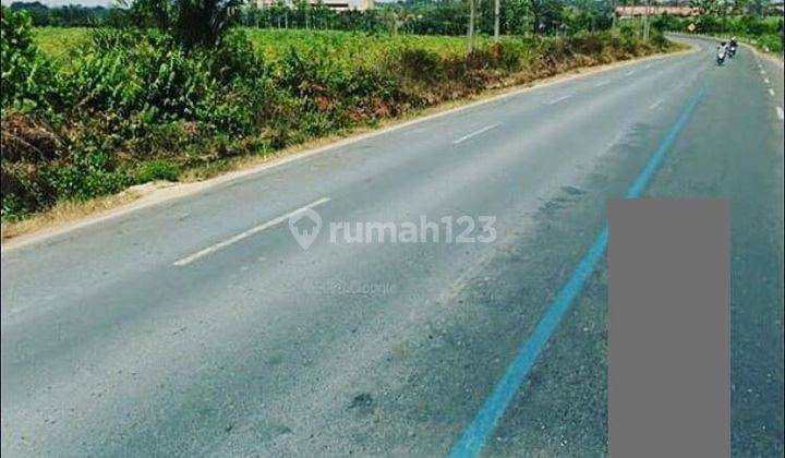 Tanah murah di Jalan Lintas Sumatera Gunung Sugih Lampung Tengah 2