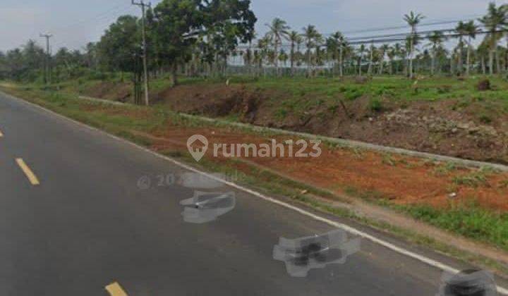 Tanah murah dipinggir Jalan TranS Sumatera Kalianda LuaS tanah 30.945 meter (3,1 ha) 1