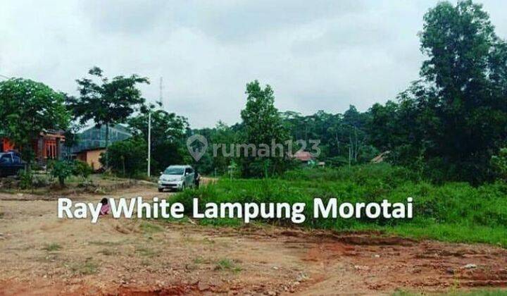 Tanah murah di Jalan Ir.Sutami desa Lematang Lamsel 1