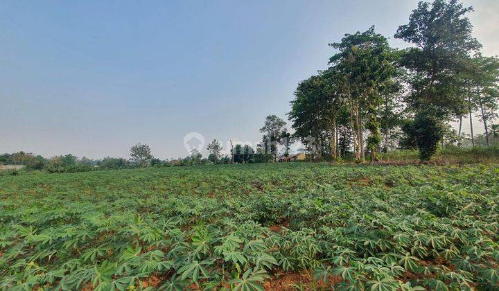 Tanah kosong di jalan Dahlia  Marga Takwa Natar, Lampung Selatan (Lampung) 1