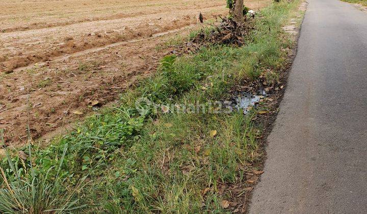 Tanah kosong di jl. Lintas sumatera Beranti belakang Rumah Makan Winda depan Bandara Natar, Lampung Selatan (Lampung) 1