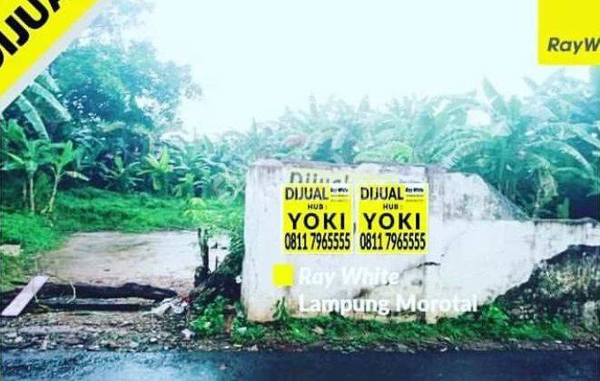 Tanah Murah di Teluk Betung 1