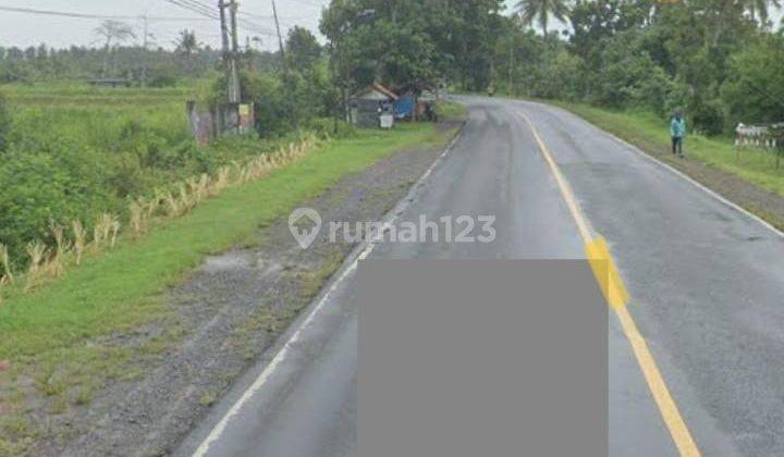 Lahan kosong di Jalan Lintas Sumatera Desa Ragom Kalianda Lampung Selatan 2