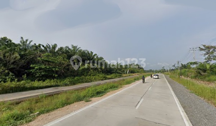 Empty land along the two-lane road of Jln. Terusan Ryacudu, Kota baru JATI AGUNG, South Lampung (Lampung).