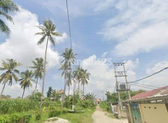 Tanah kosong di Jln. Komarudin Desa Sido Sari Natar Lampung Selatan 1