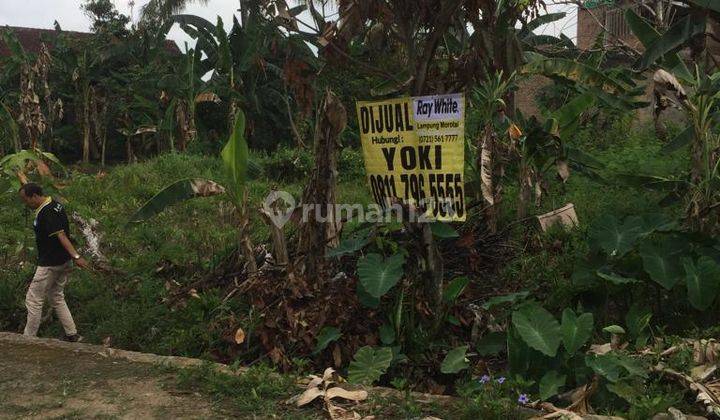 Tanah kosong di Jln. Bumi Manti Labuhan Ratu Kedaton Bandarlampung 2