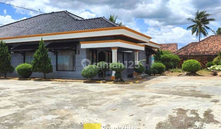 Dijual Cepat Rumah Mewah dan Halaman Luas vr 2