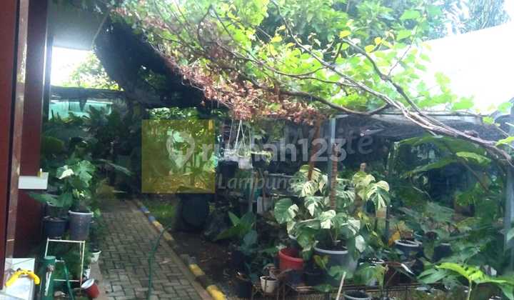 Dijual Rumah Dengan Halaman Luas lin 2