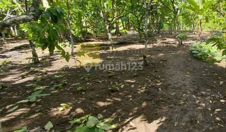 Di  Tanah Kebun Produktif ch 1