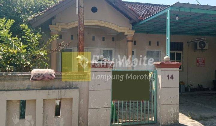 Rumah dengan halaman luas br 2