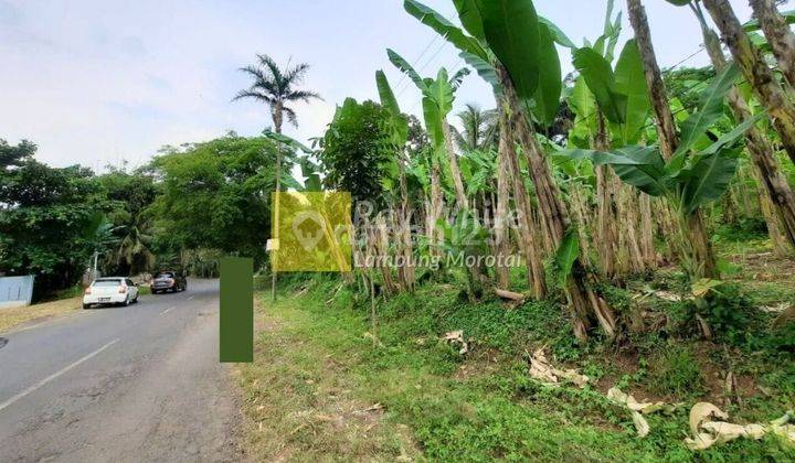 Miliki Tanah dengan Lebar Muka 50m vr 2