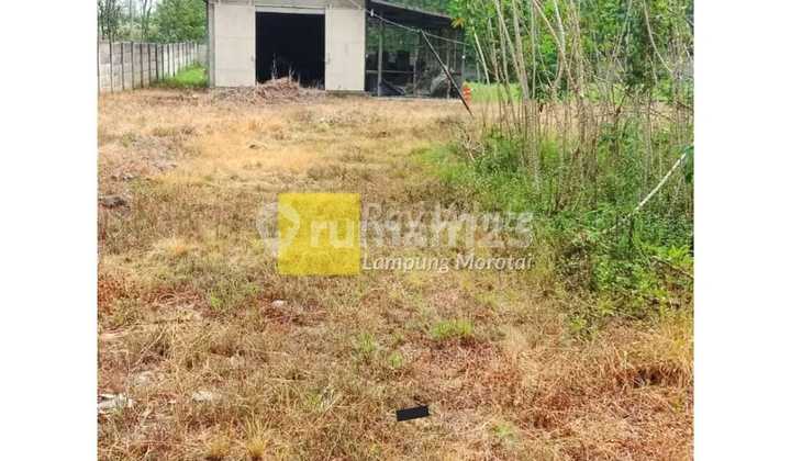 Miliki Tanah Green Stok di dalam Perumahan Pusat kota Miliki Tanah Green Stok di dalam Perumahan Pusat kota