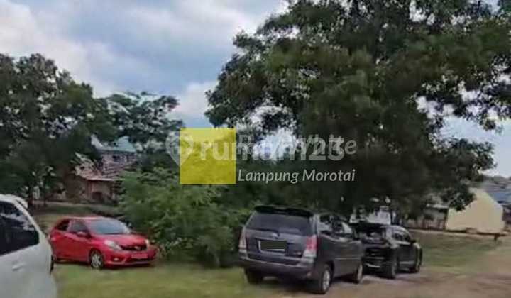 Miliki Tanah Green Stok di Perumahan Pusat kota Miliki Tanah Green Stok di Perumahan Pusat kota