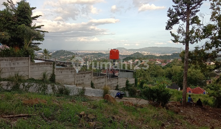 Tanah Perkebunan view kota dan laut