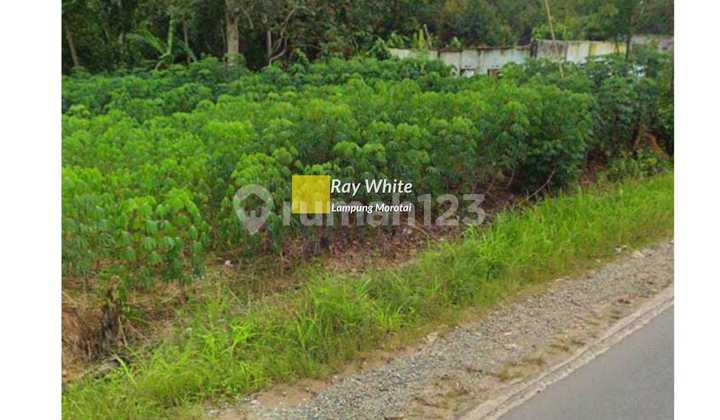 Tanah Dekat Polsek Gunung Sugih