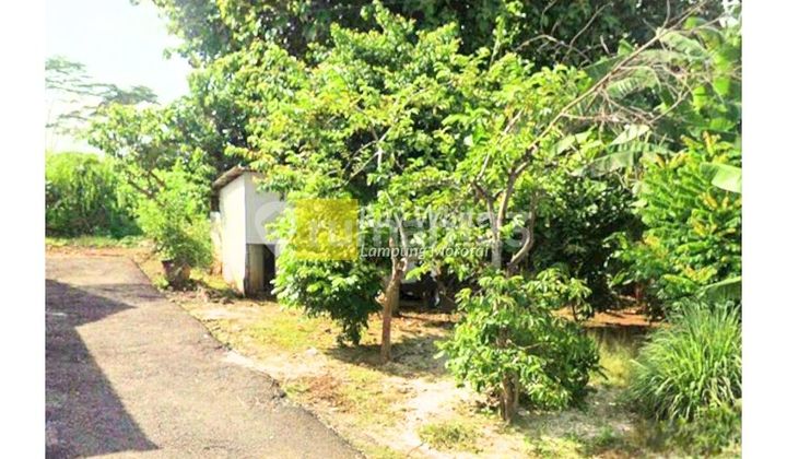 Land for Sale Near Unila
