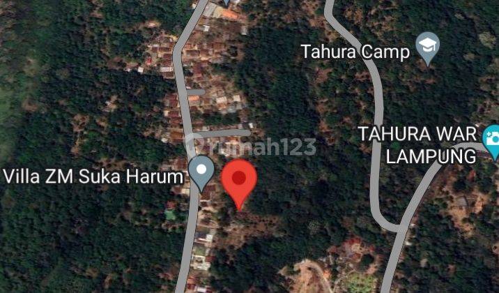 Dijual Tanah Kebun dan Villa 2