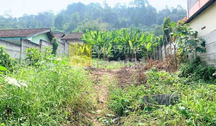 For sale, quite spacious land For sale, quite spacious land