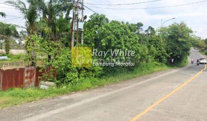 Dijual Tanah 5.6 Ha di bandar Jaya ay 2