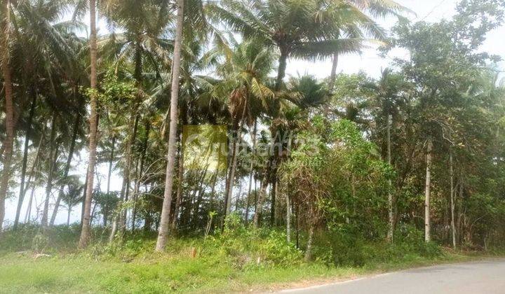 Dijual Tanah Tepi Pantai Krui ay 1