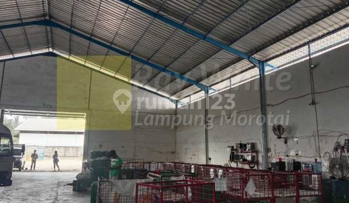 Disewakan Gudang Siap Usaha di Campang Raya Disewakan Gudang Siap Usaha di Campang Raya
