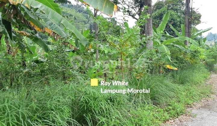 Dijual Tanah cocok untuk Pemukiman atau Gudang