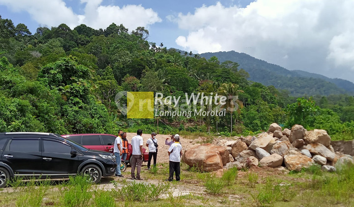 Dijual Tanah Tepi Pantai 