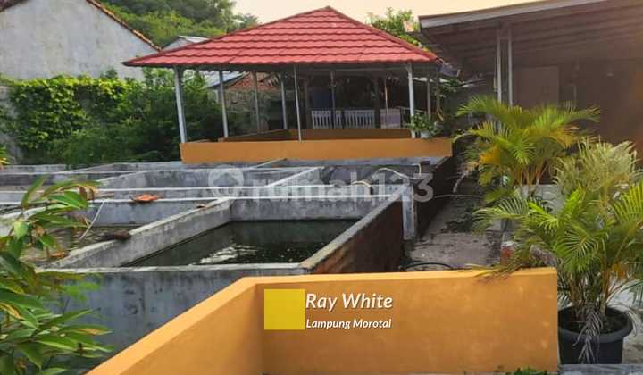 Dijual Rumah Bonus Kolam Ikan br 2