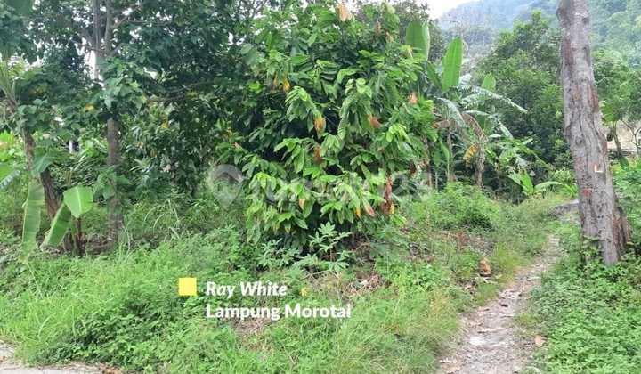 Dijual Tanah cocok untuk Pemukiman atau Gudang