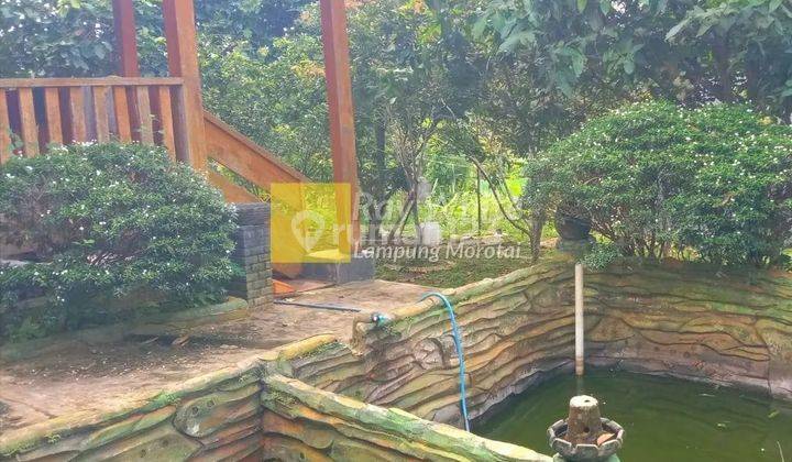 Dijual Tanah Kebun dan Villa 2