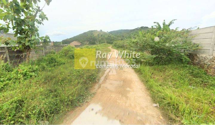 Dijual Tanah di Tirtayasa ay 2
