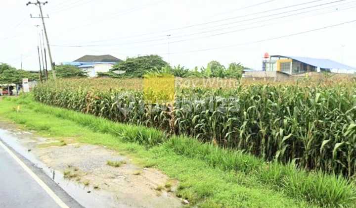 Dijual Tanah di Jalur Lintas Dijual Tanah di Jalur Lintas