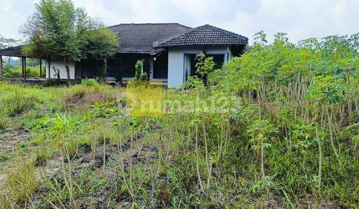Dijual tanah perkebunan di pinggir jalan lintas