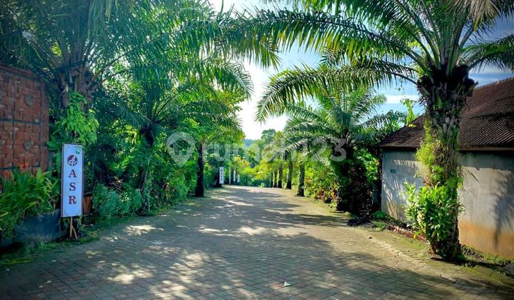 Rumah murah tingkat 2 di Tabanan, DP 0% 1