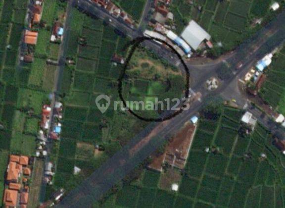 Tanah Siap Bangun Di Klungkung Dekat Proyek Pusat Kebudayaan Bali 8