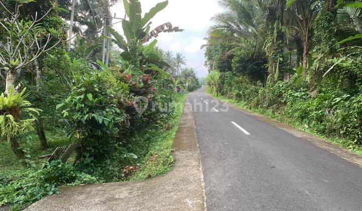 Cheap Durian And Coconut Orchard Land For Sale In Tabanan 1