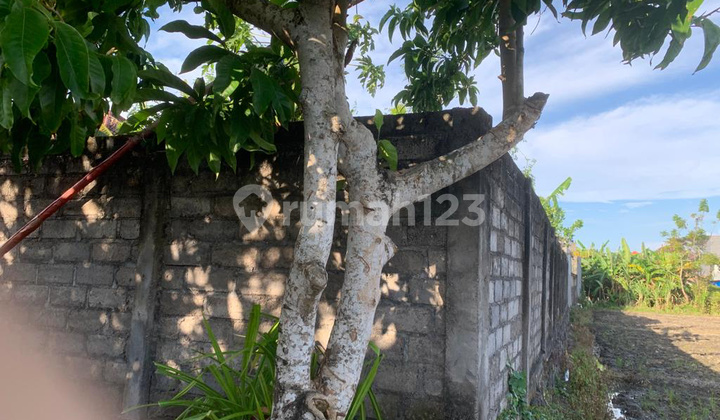 Dijual Murah Tanah Kapling Siap Bangun Dekat Kota Denpasar 6