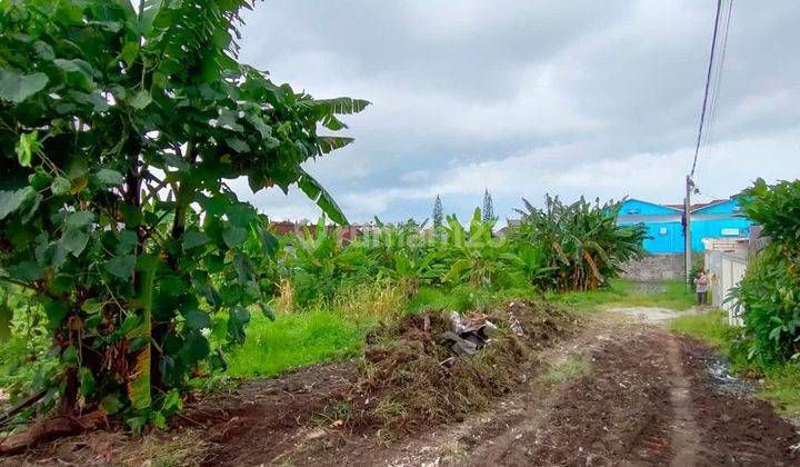 Dijual Tanah Kapling Di Pusat Kota Denpasar 4