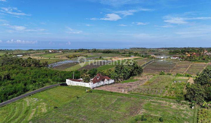 Tanah SHM Kawasan Villa Dekat Pantai Kelating Tabanan 1