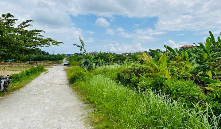 Tanah Murah Shm View Sawah Di Tabanan Dekat Canggu  1