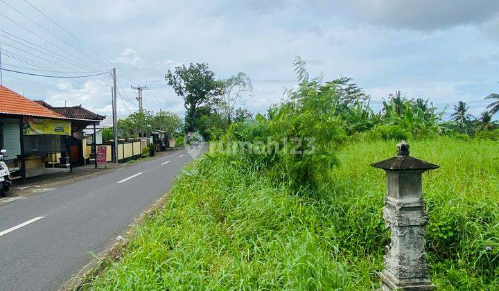 Tanah Shm Lokasi Strategis Dekat Pantai & Kota Tabanan 2