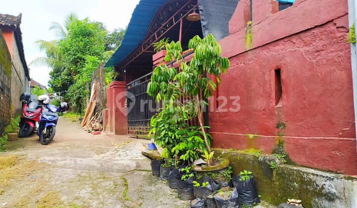 Rumah Luas 3 kamar Tidur Dekat Rumah Sakit Tabanan Rumah 11