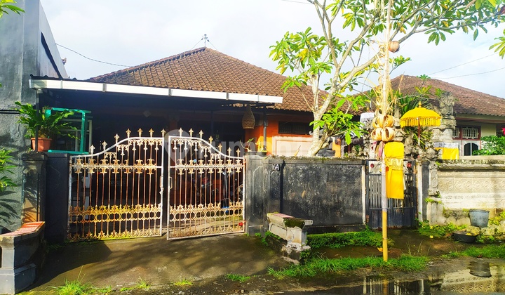 Rumah Langka 4 Kamar Kawasan Elite Kantor Bupati Tabanan Bali Rumah 2